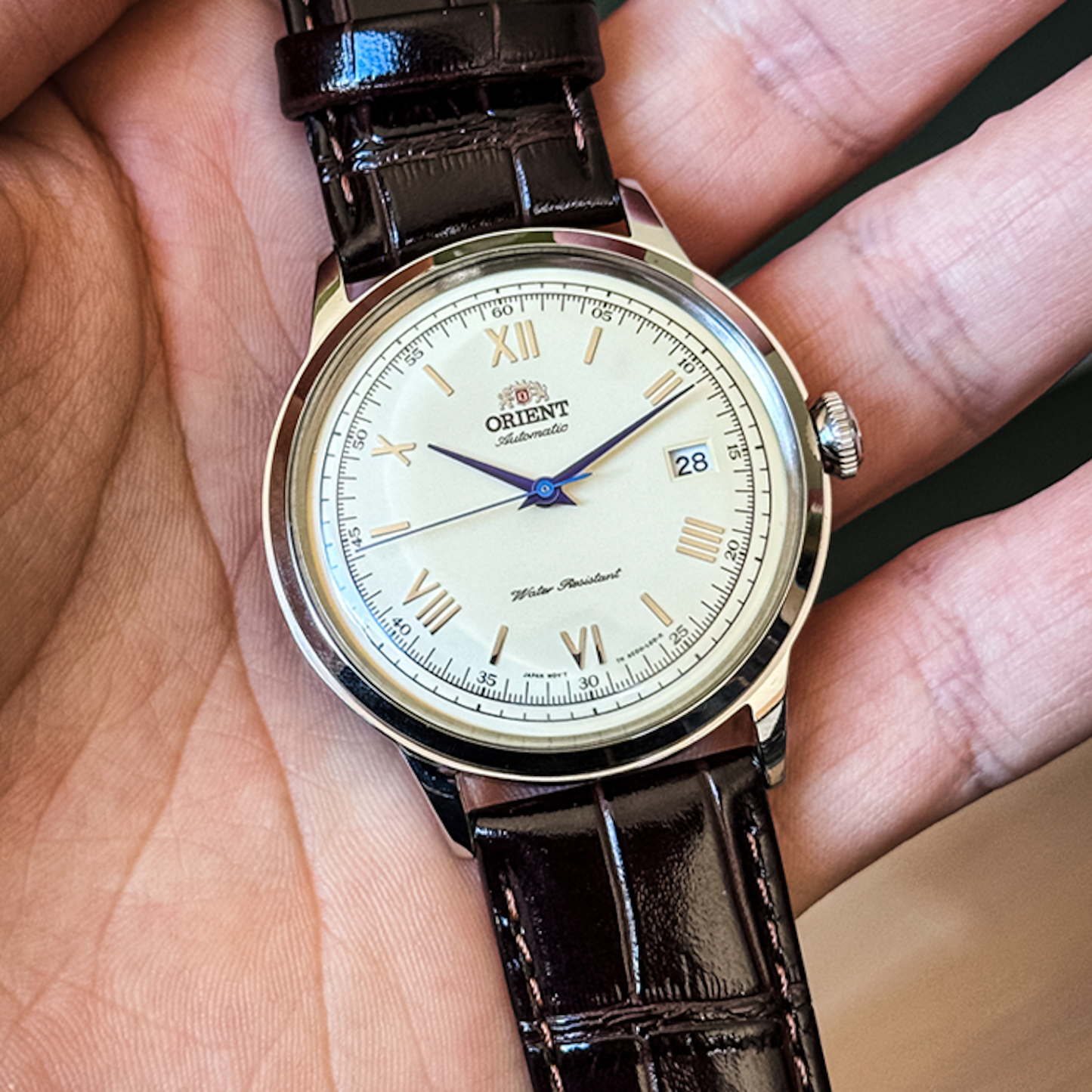 Orient Bambino 2da Generacion
