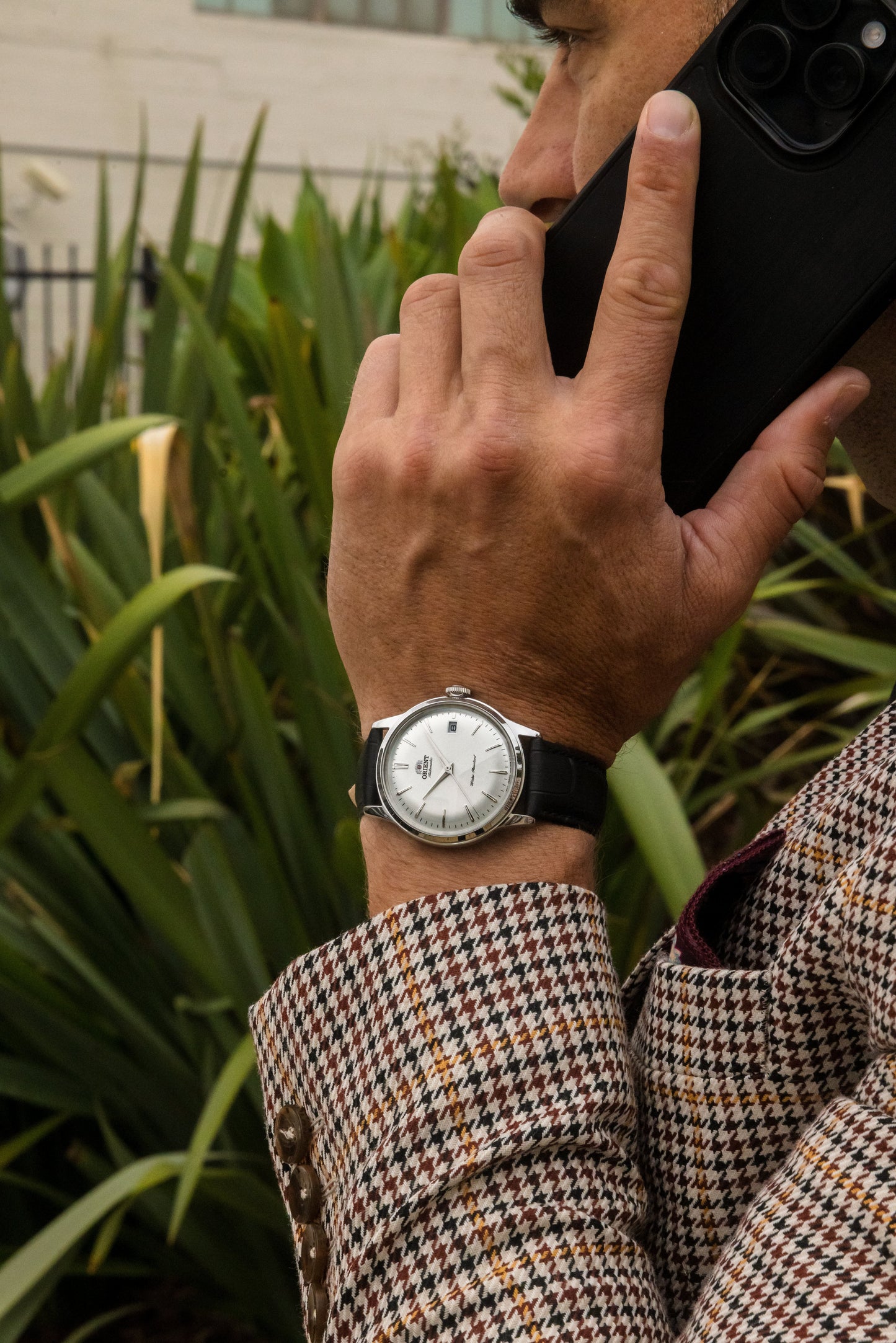 Orient Bambino